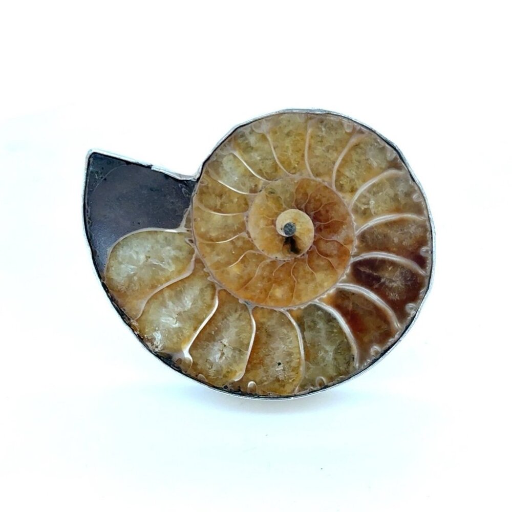 950 Silver Coiled Shell Ring - image 1